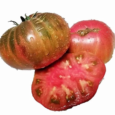 Томат Гном БСП (Dwarf BSP) (6шт)