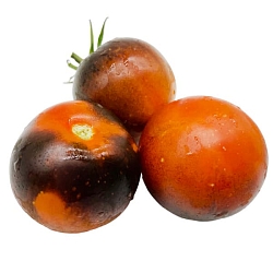  Томат Голубой апельсин (Orange Blue) (6шт)