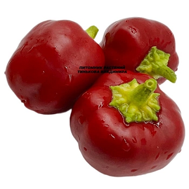 Перец сладкий Мини бел ред (Mini Bell Red) (6шт.)