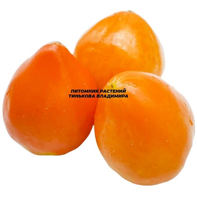 Томат Немецкая оранжевая клубника (German Orange Strawberry, Германия) (6шт) (нет в наличии)