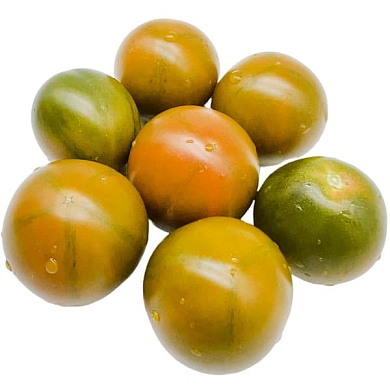 Томат Злая маслина (Olive evil) (6шт)