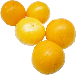  Томат Золотой тигр (Golden Tiger) (6шт)