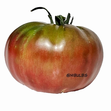 Томат Зелёная копия (Green Copia) (6шт)