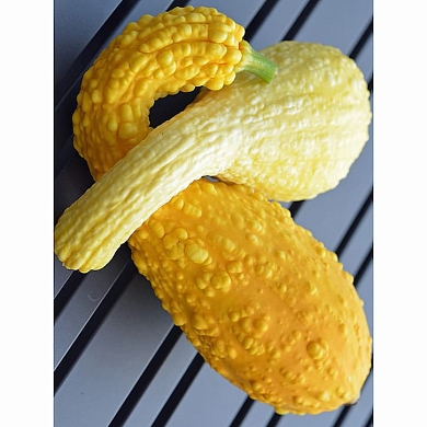Крукнек Золотой (Crookneck Golden) (5шт) (нет в наличии)