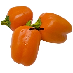  Перец сладкий Мини бел оранж (Mini Bell Orange) (6шт.)