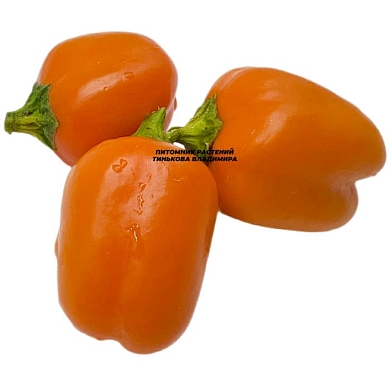 Перец сладкий Мини бел оранж (Mini Bell Orange) (6шт.)