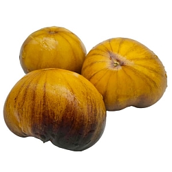  Томат Большой желто-синий (Great Yellow Blue, США) (6шт)