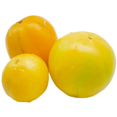Томат Лифтен Еллоу (Lifften yellow, США) (6шт)