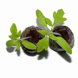  Jiffy-7 PLA (41 мм) 10 штук